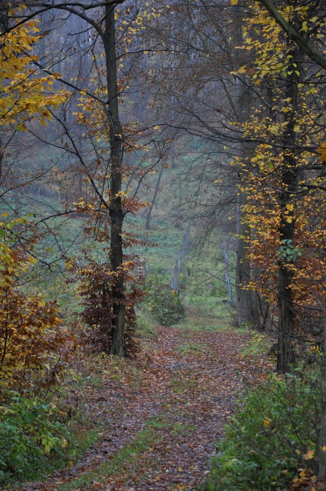 Photograph by Галина Лысых