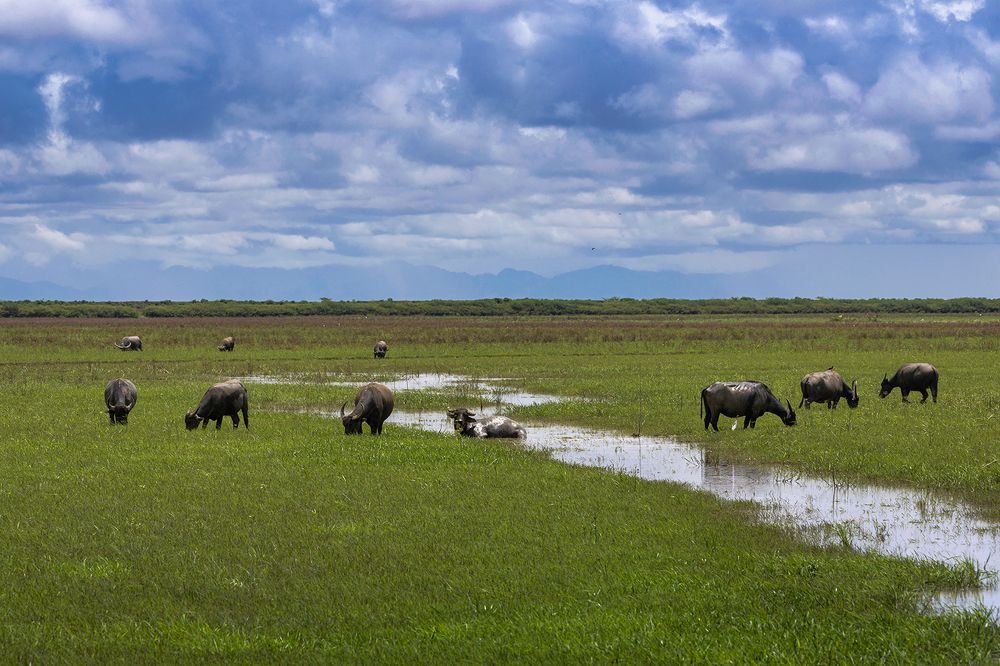 Photograph by Thaw Zin Oo