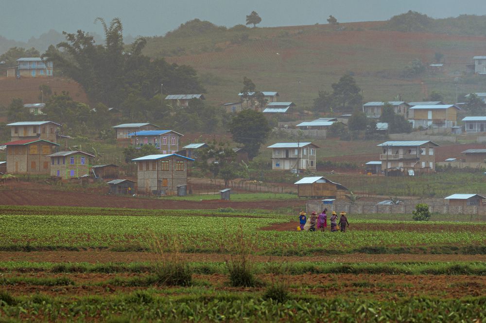 Photograph by Thaw Zin Oo