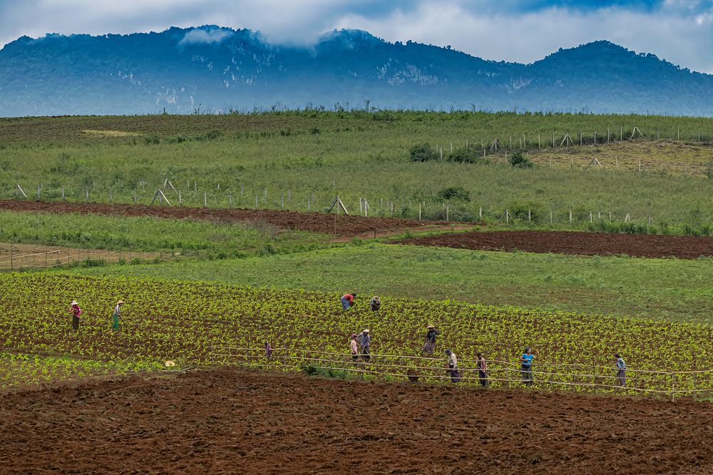 Photograph by Thaw Zin Oo