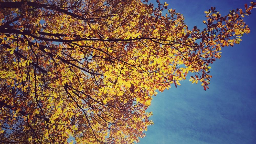 Photograph by Наталья Калюнова