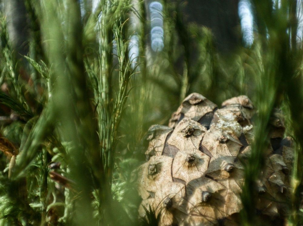 Photograph by Наталья Калюнова