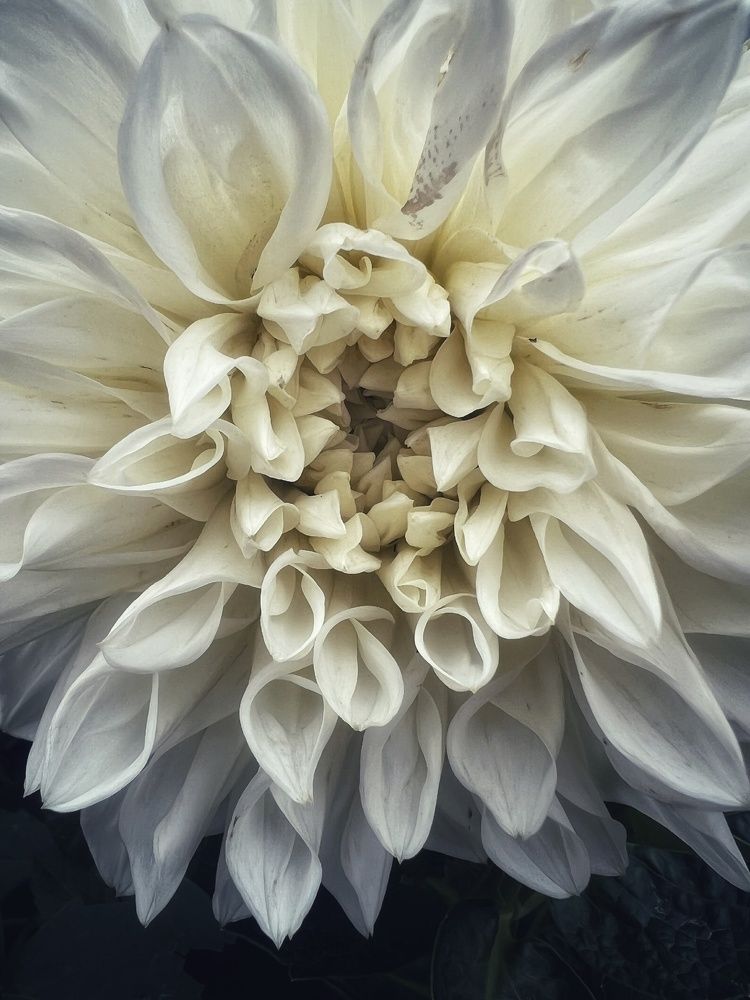 Photograph by Анна