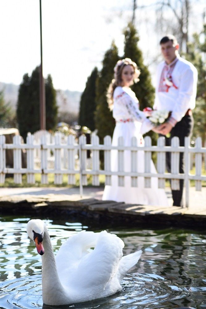 Photograph by Cornei Veaceslav