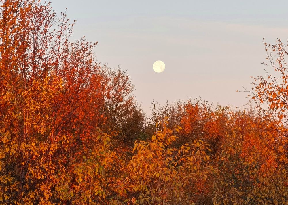 Photograph by Елена