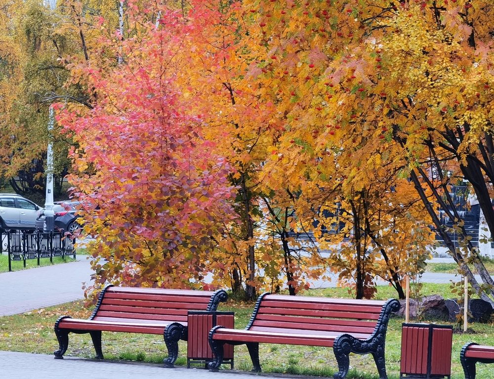 Photograph by Елена