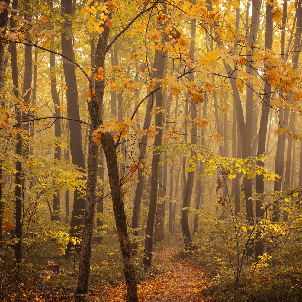 Photograph by Степан Ковыльчик