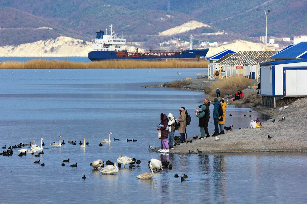 Photograph by Stepan