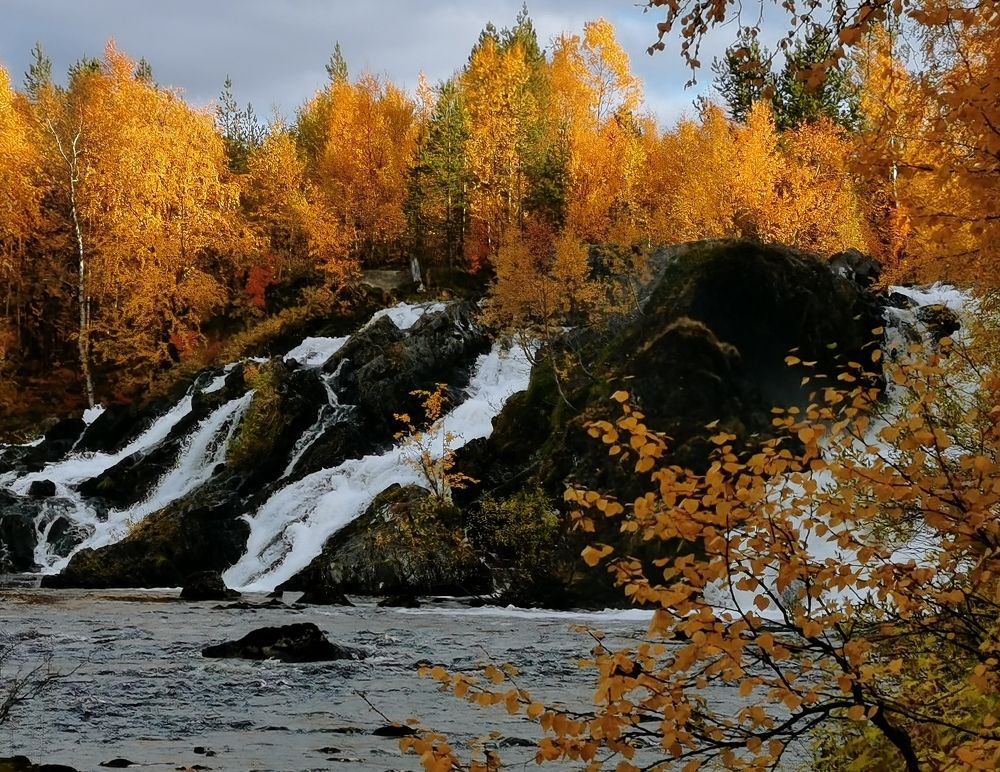 Photograph by Елена