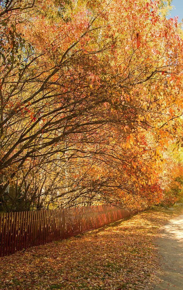 Фотография автора Andrey Pristyazhnyuk