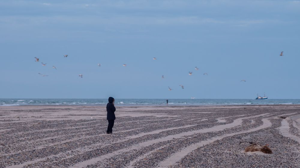 Photograph by Alexandre de Pommereau