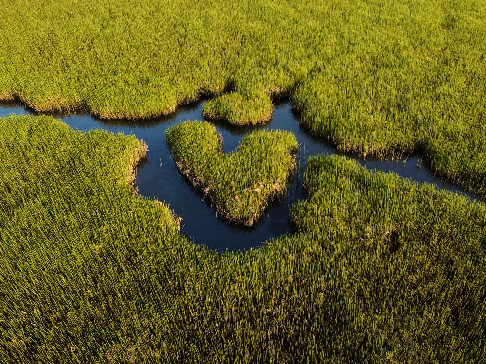 Photograph by Дмитрий Пасынков