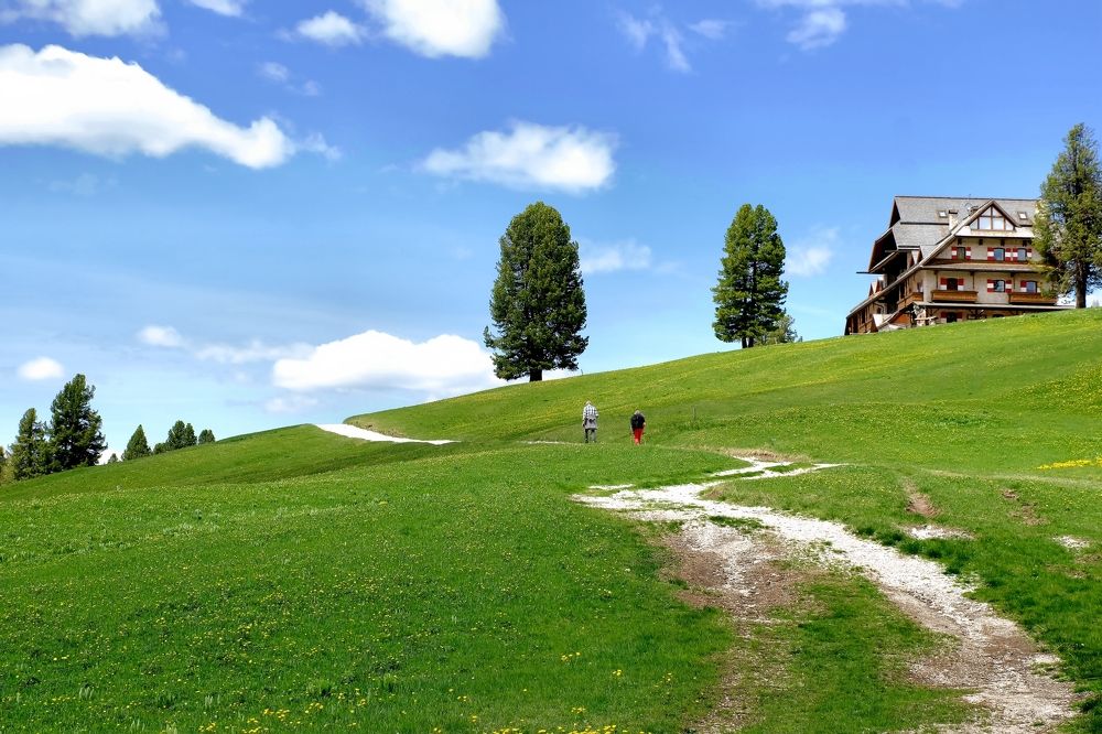 Фотография автора Dmitry