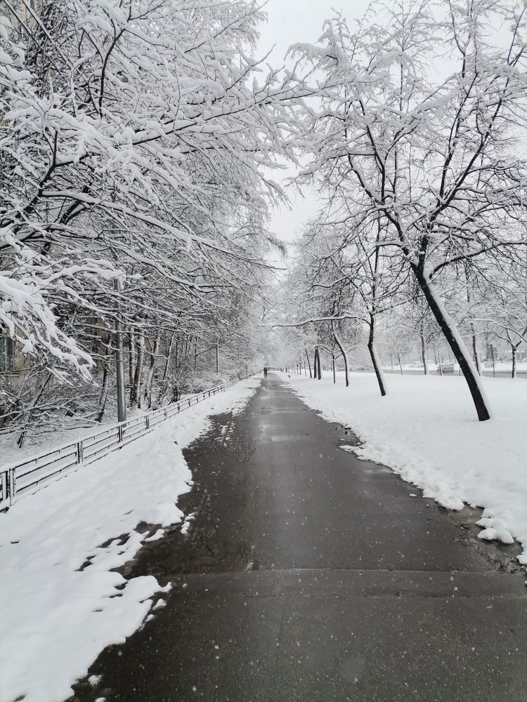 Photograph by Наталина Князева