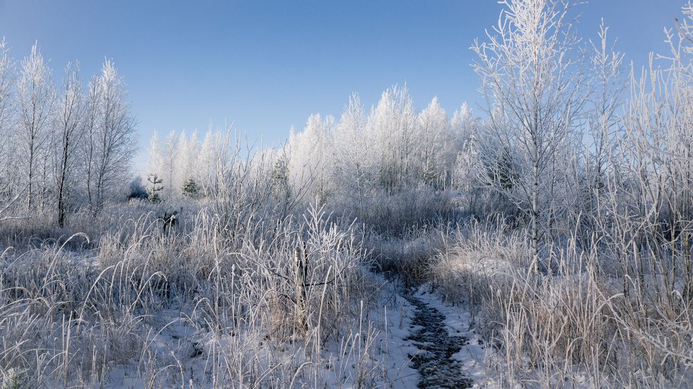 Photograph by Denis Romanov