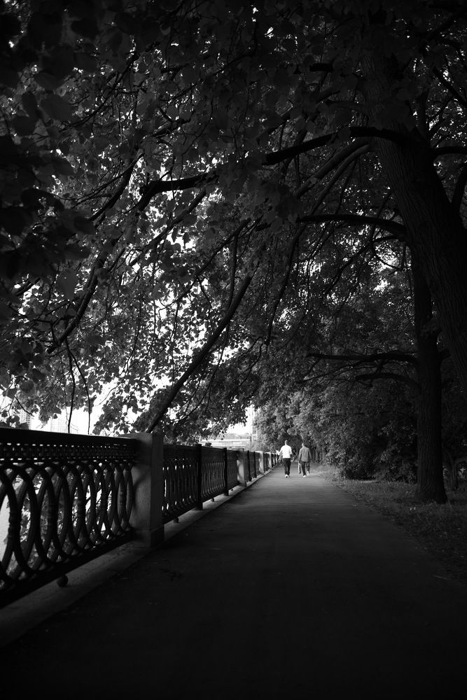 Photograph by Александр Кращук