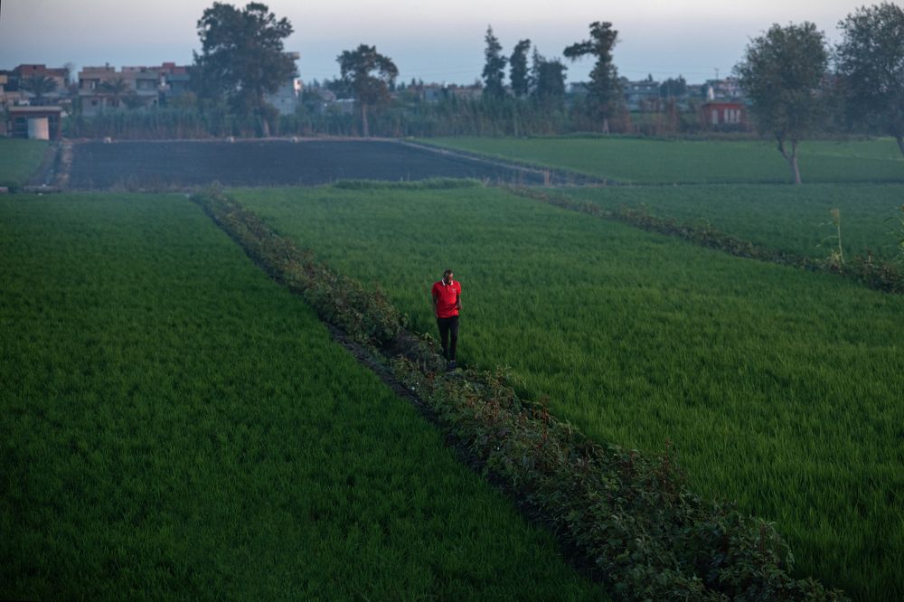 Photograph by Moataz Helmy