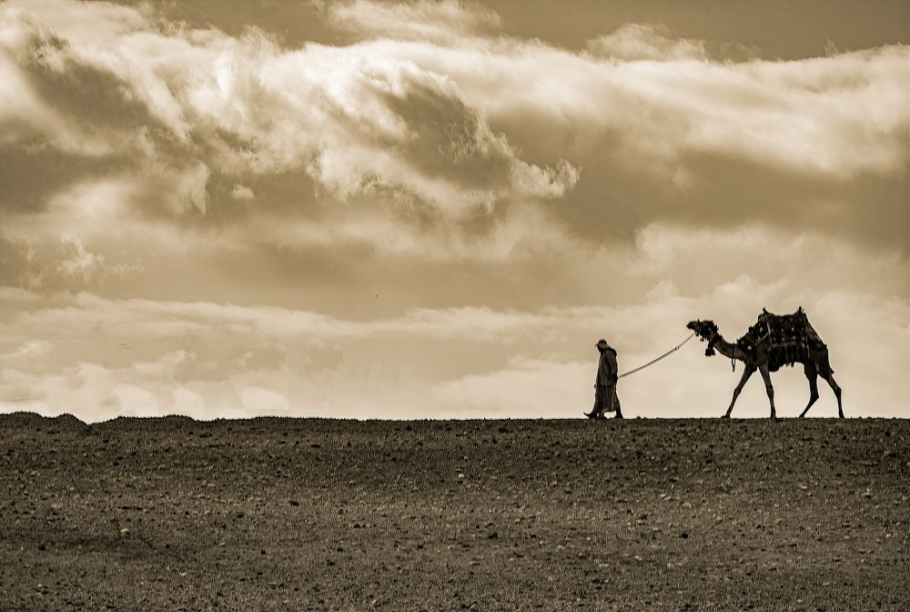 Photograph by Moataz Helmy