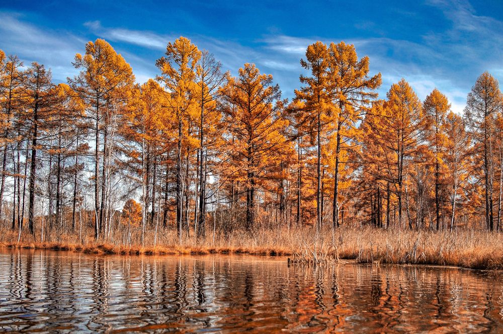 Photograph by Анастасия Сахаревич