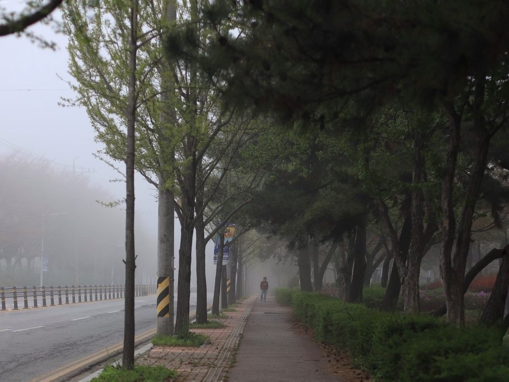 Photograph by Nargiza Karimova