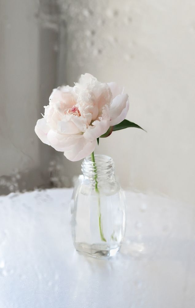 Photograph by Светлана Вербицкая