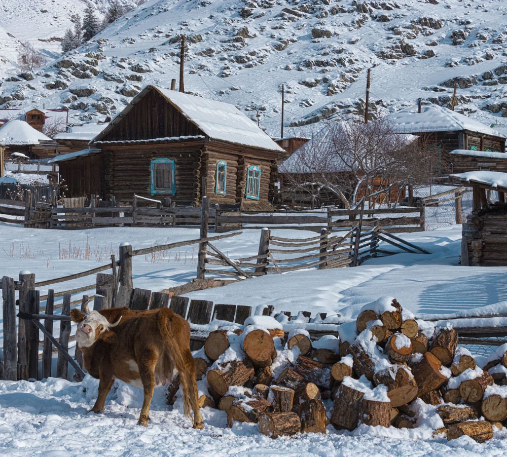 Photograph by ИРЕНА Цурпал