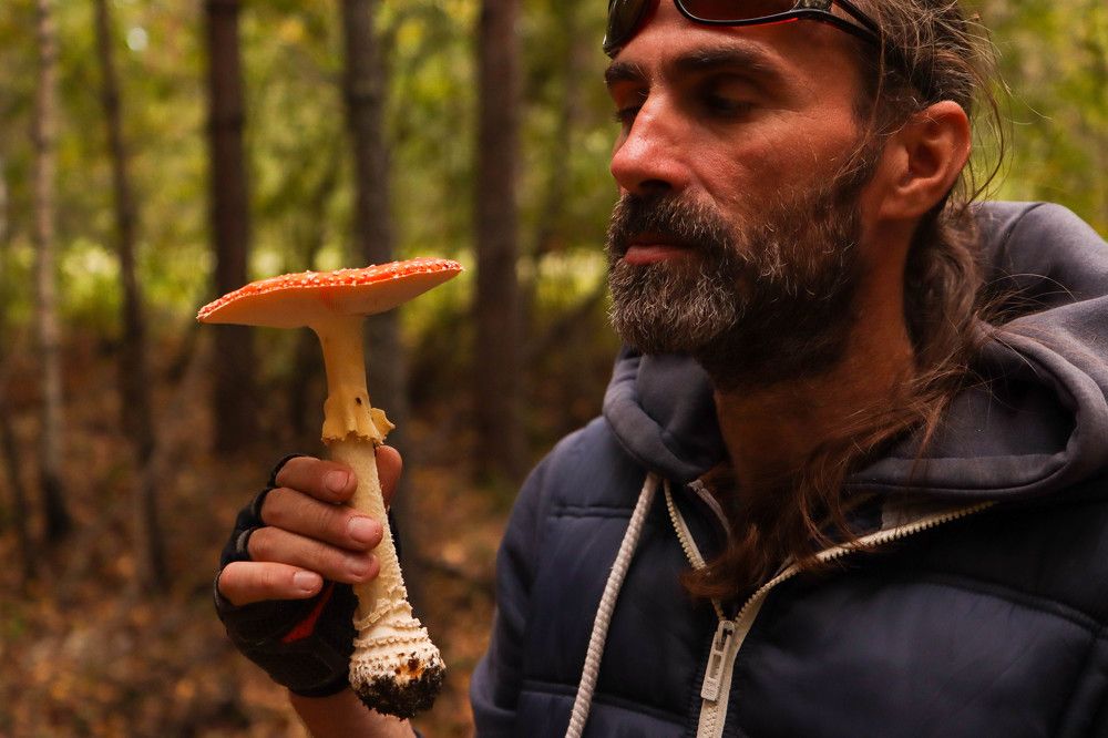 Photograph by Игорь Тюменцев