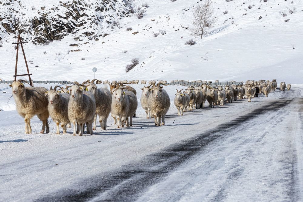 Photograph by ИРЕНА Цурпал