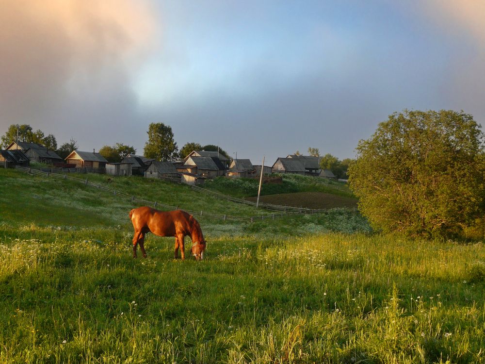 Photograph by Alexandr Timofeev