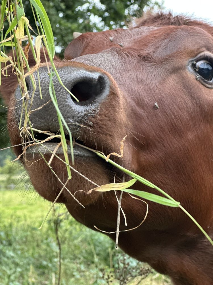 Фотография автора Наталья Старикова