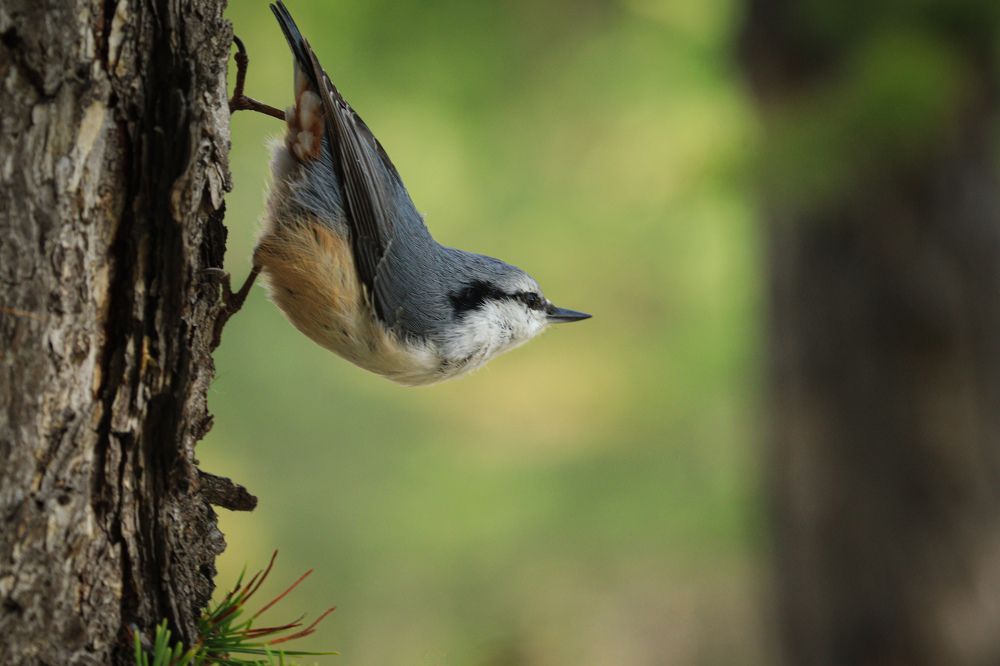 Photograph by Вася Кадочников