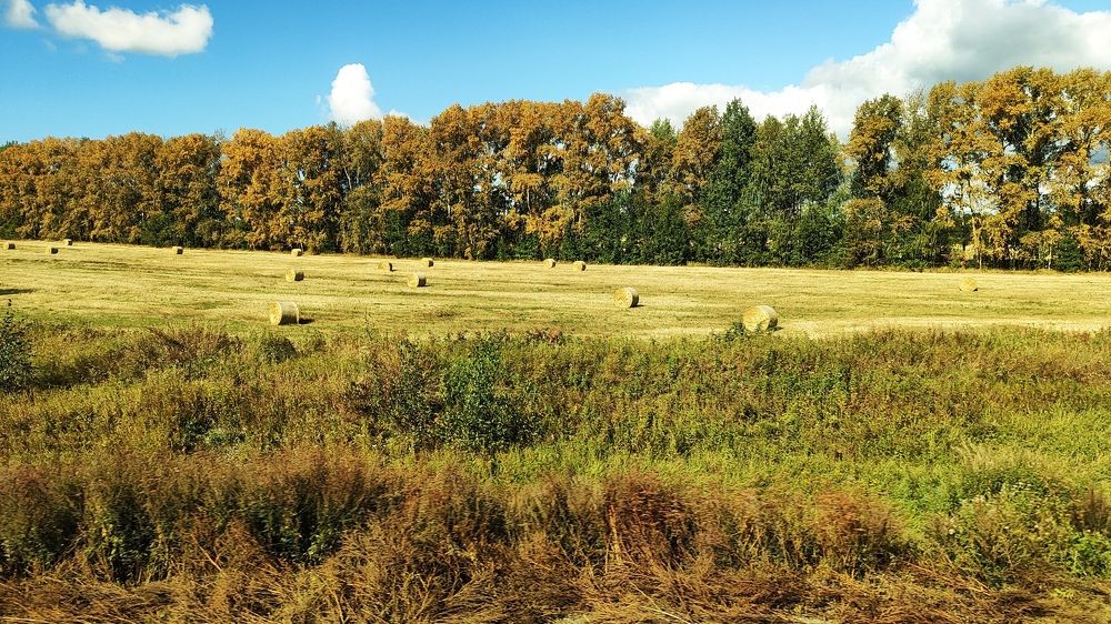 Photograph by Александр