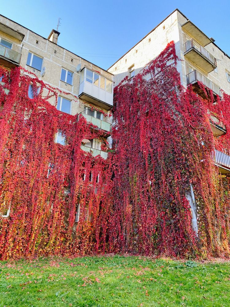 Photograph by Екатерина Балакина