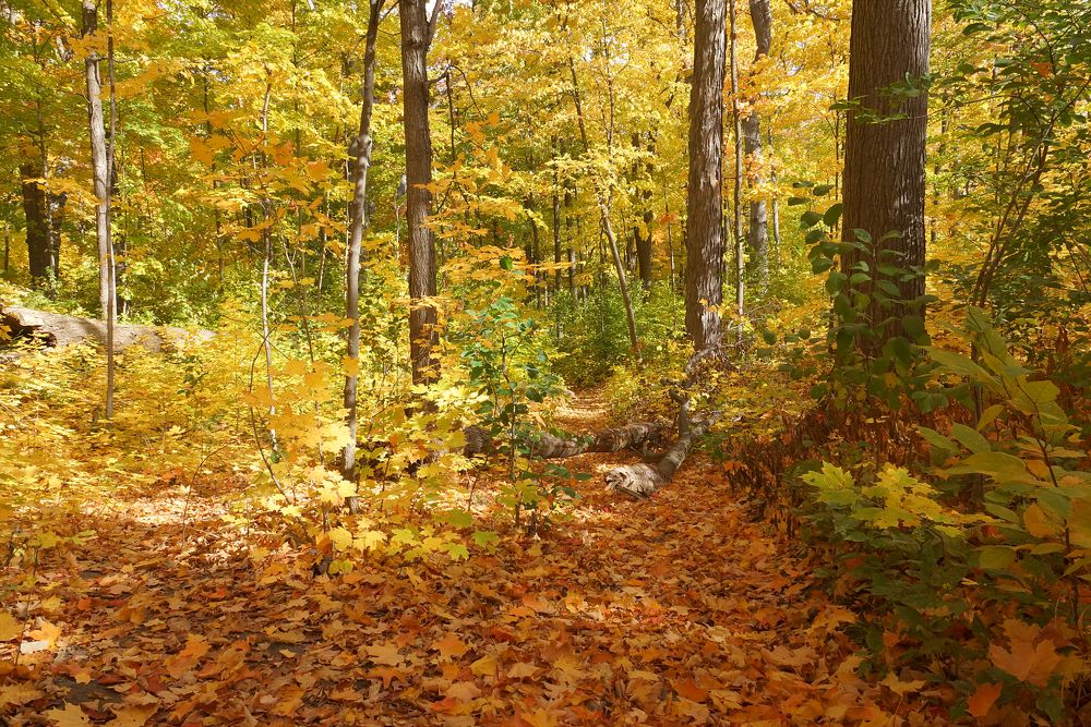 Photograph by Олег Толстунов