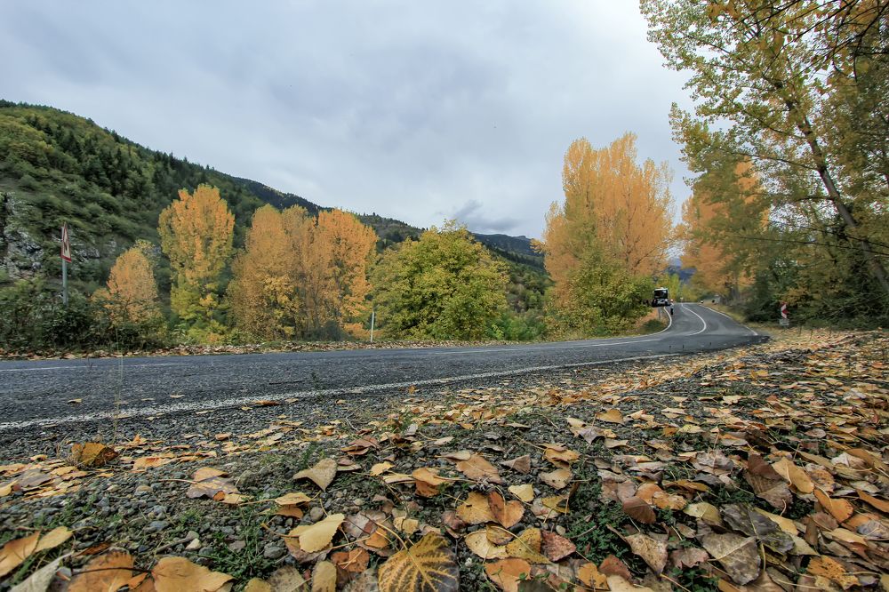 Photograph by Selma Kotancı