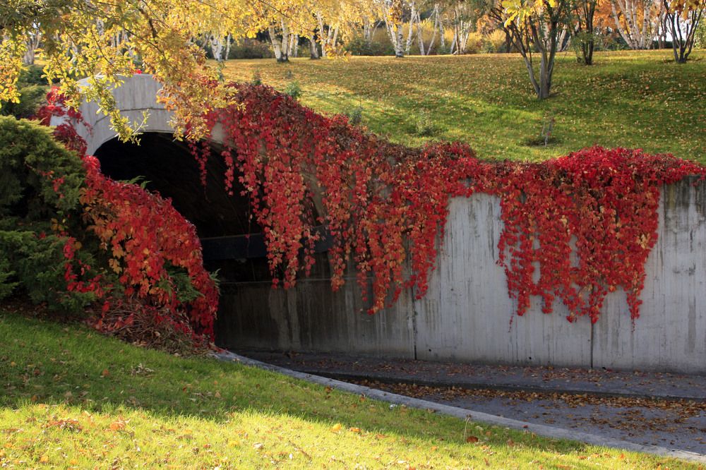 Photograph by Selma Kotancı