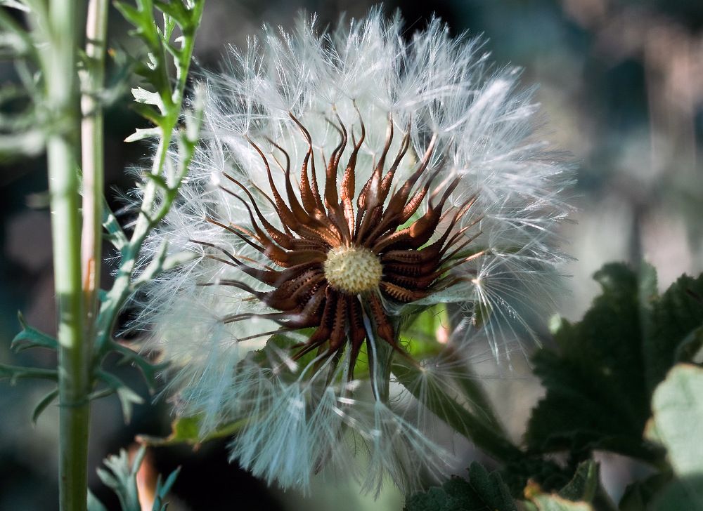 Photograph by Alexandr Makarenko