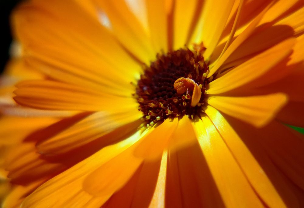 Photograph by Alexandr Makarenko