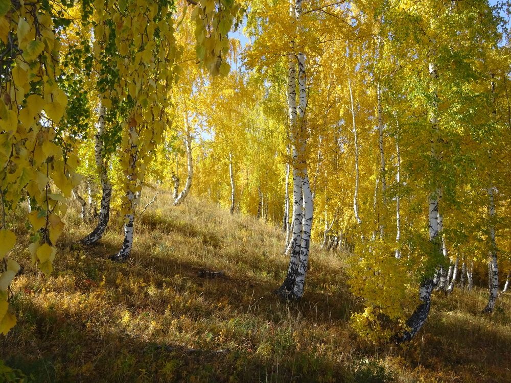 Photograph by Игнатова Марина