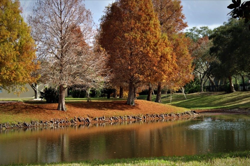 Photograph by Carol Taylor