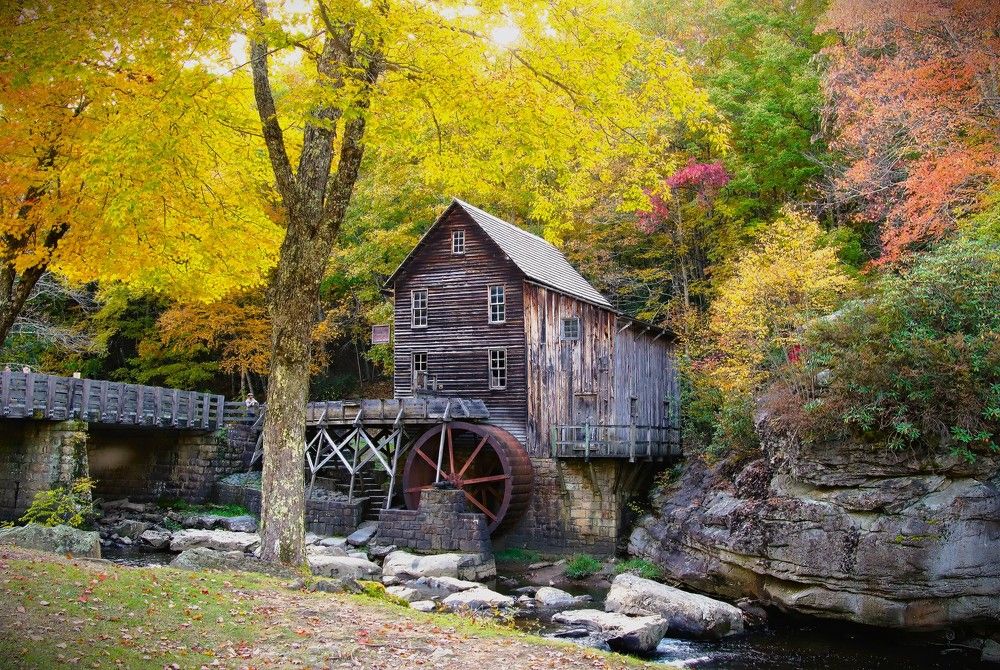 Photograph by Carol Taylor