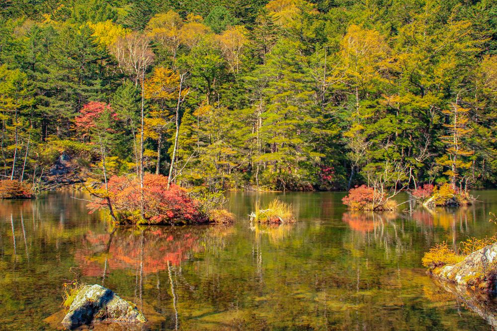 Photograph by Ziv Meir