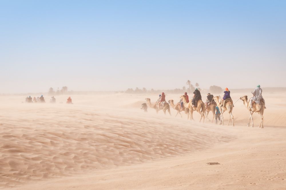 Караван (Тунис)