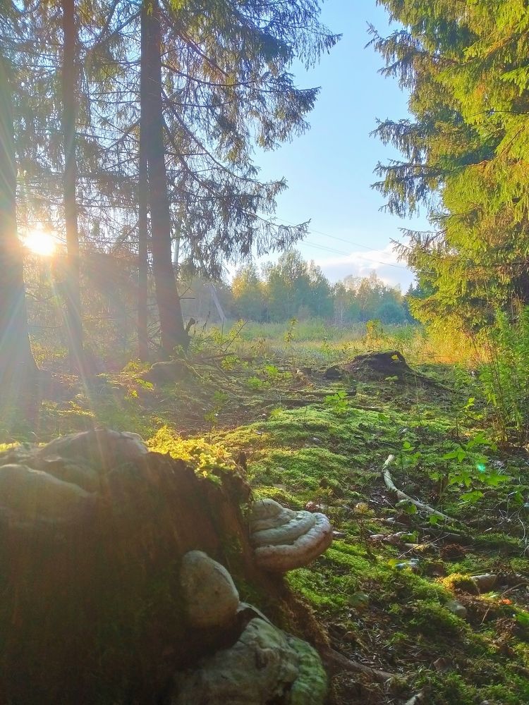 Photograph by Владимир Воложинский