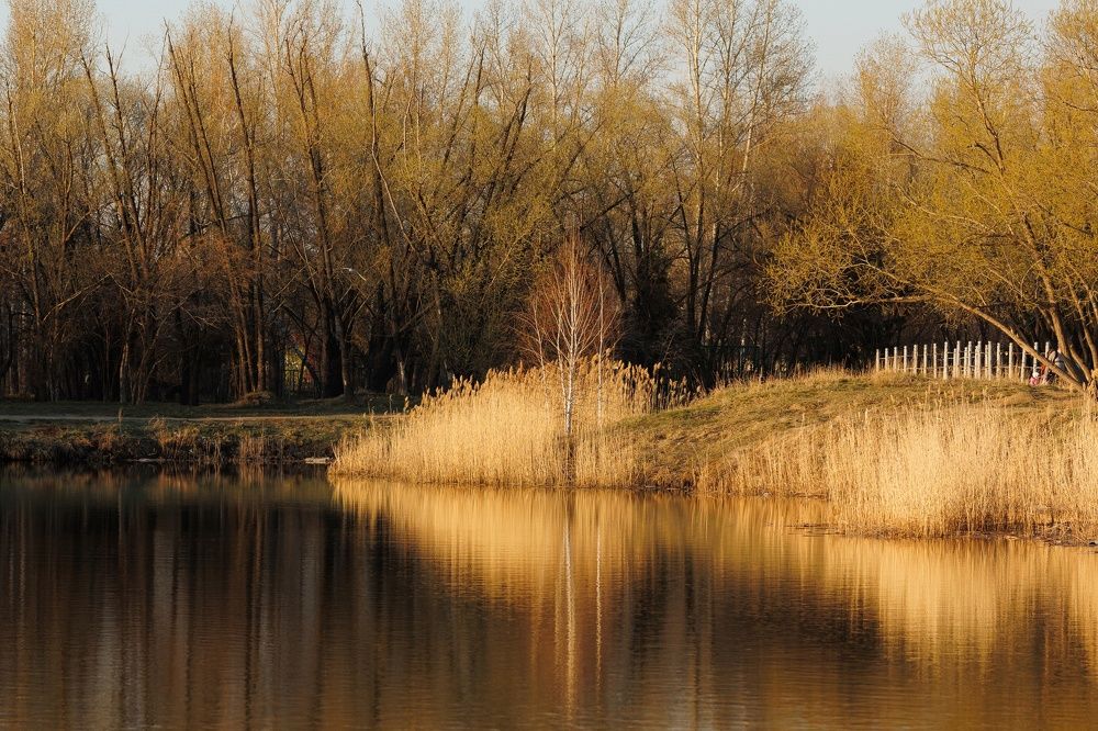 Photograph by Антон Чепуркин