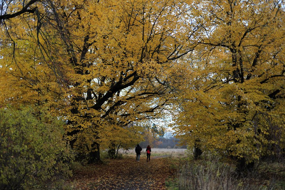 Photograph by Владимир Грибков