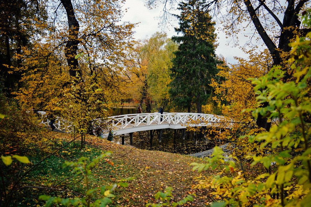 Photograph by Светлана Субботина