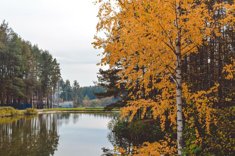 Photograph by Светлана Субботина