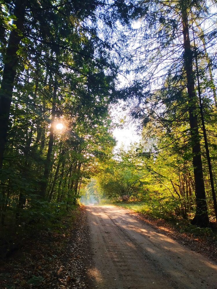 Photograph by Владимир Воложинский