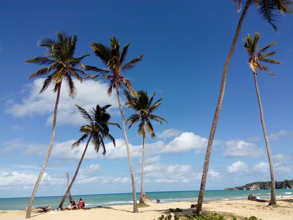 Photograph by Игнатова Марина